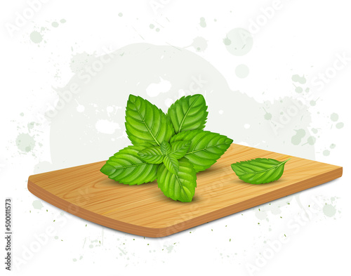 Fresh Green mint leaves vector illustration  on wooden chopping board