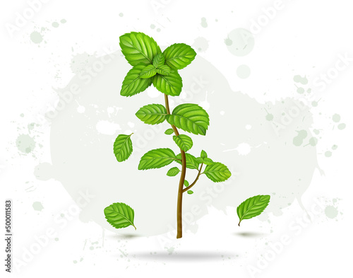 Mint leave stem vector illustration with floating herbal leaves