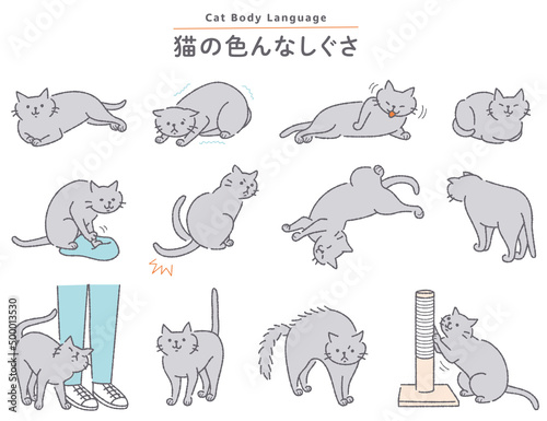 猫の色んなしぐさイラストセット