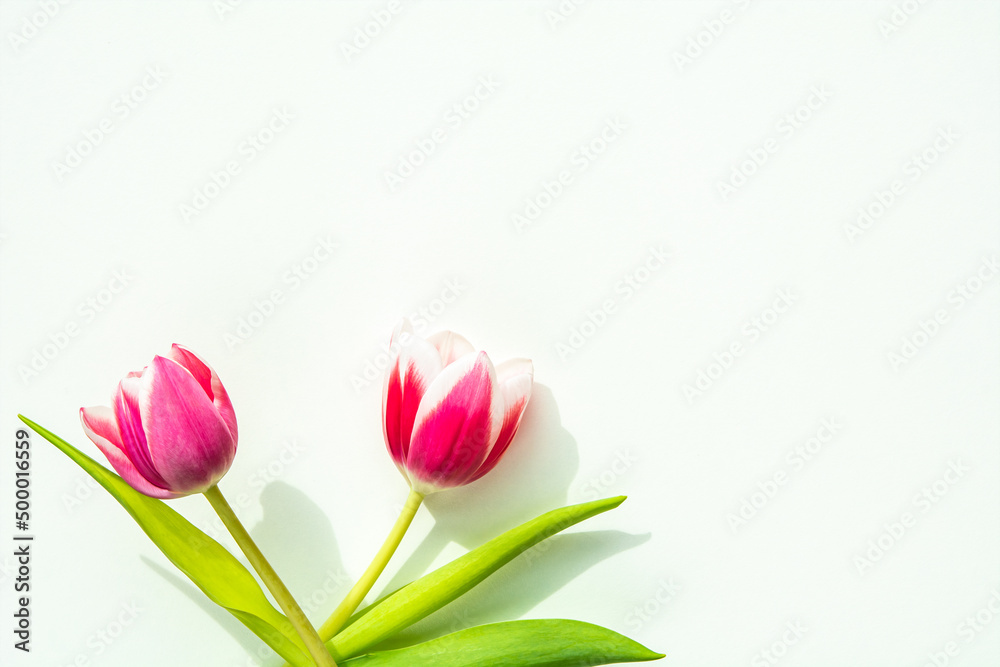 Fototapeta premium Hintergrund mit Blumen