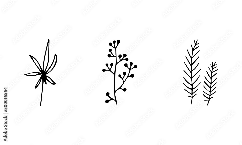 Set hand drawing plants wild flowers doodle black vector illustration Set hand drawing plants wild flowers doodle black vector illustration