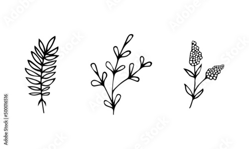 Set hand drawing plants wild flowers doodle black vector illustration