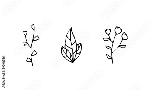Set hand drawing plants wild flowers doodle black vector illustration