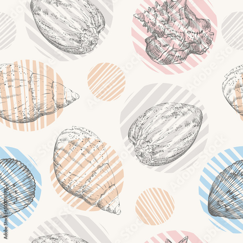 Seamless pattern hand drawn colorful seashells vector illustration