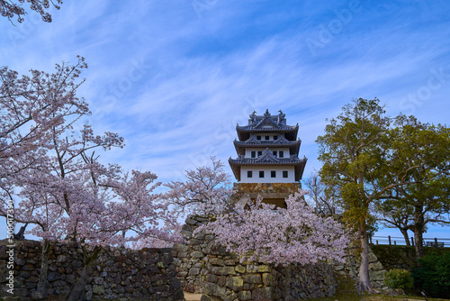 Wallpaper Mural 春の兵庫県洲本市の洲本城跡 Torontodigital.ca