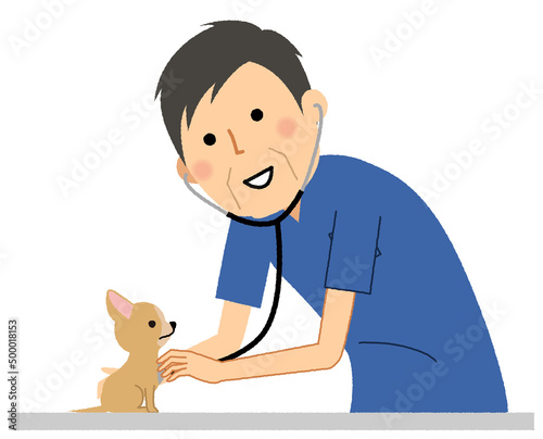 犬を診察する獣医師