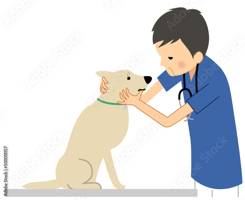 犬を診察する獣医師