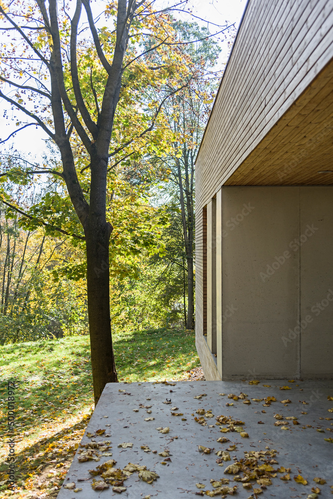 Duży taras betonowy w domu z pięknym widokiem na naturę, drzewa, las. - obrazy, fototapety, plakaty 