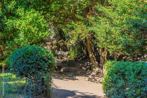 Alupkinsky Park (also known as Vorontsov Park) photo
