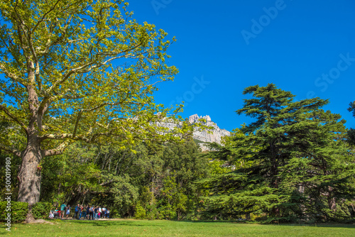 Alupkinsky Park (also known as Vorontsov Park) photo
