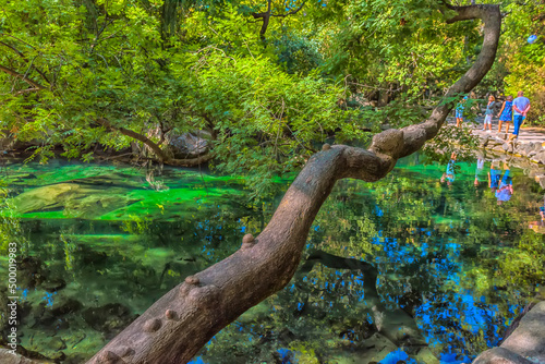 Alupkinsky Park (also known as Vorontsov Park) photo