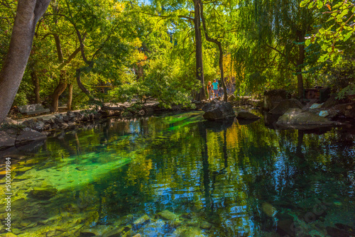Alupkinsky Park (also known as Vorontsov Park) photo