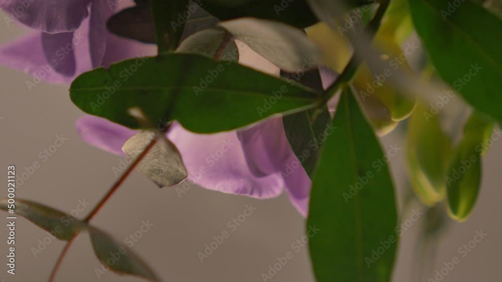 Flowers and leaves turns slowly Flowers and leaves turns slowly