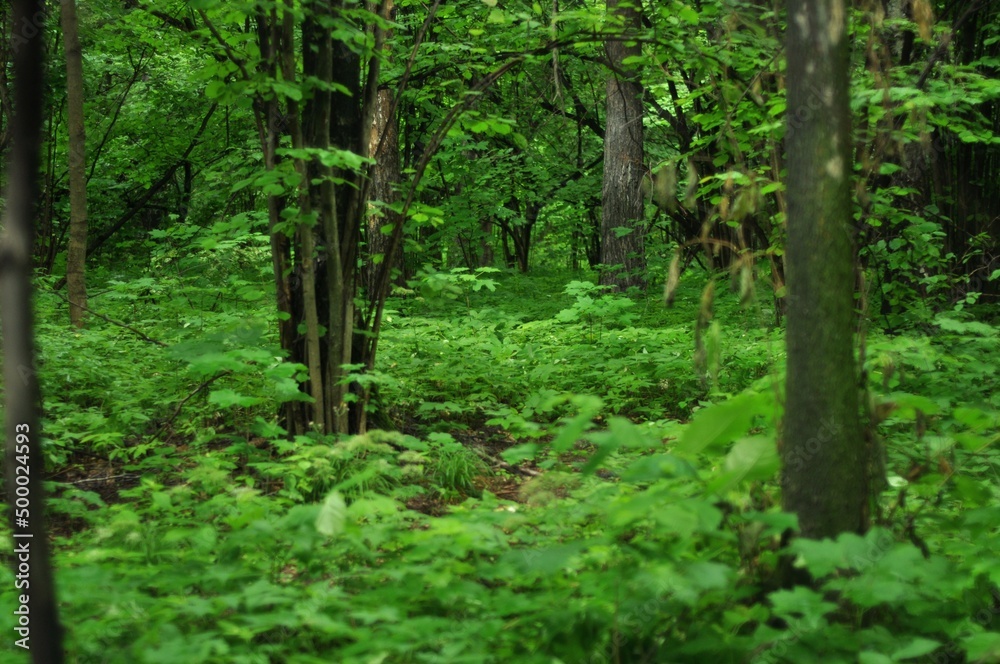 Nature is the material world of the universe, in fact — the main object of the study of natural sciences. In everyday life, the word Nature is the material world of the universe, in fact — the main object of the study of natural sciences. In everyday life, the word