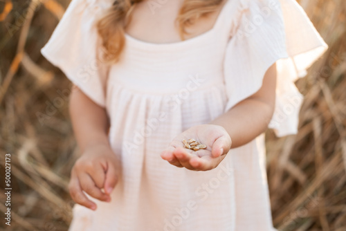 close up palm of little girl hand with wheat grains