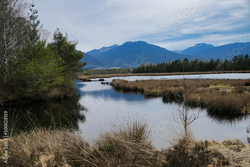 Fruehling im Hochmoor photo