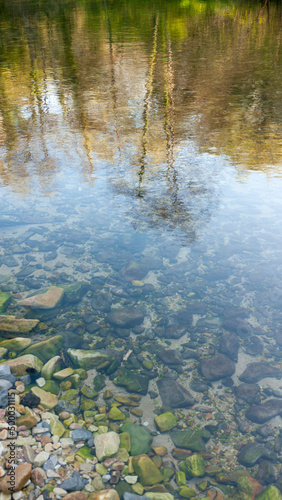 Bosque reeflejado en superficie de agua de arroyo con piedras