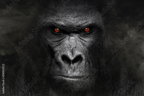 Canvas-taulu Gorilla looking in the camera with red eyes