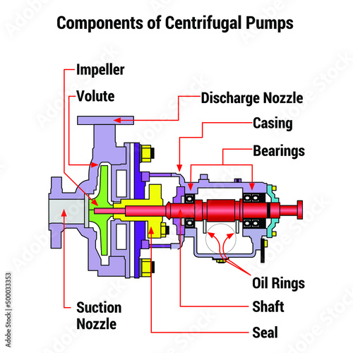 Vector Illustration for Components of Centrifugal Pumps