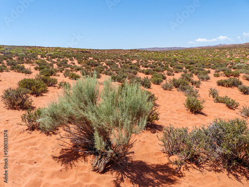 View of the desert near Page Arizona