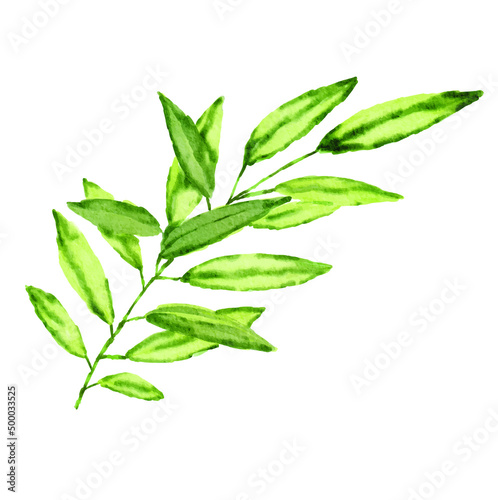 green leaves watercolor image
