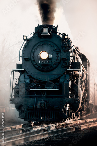 Fotografie, Obraz Vertical shot of a steam engine train
