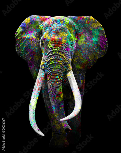 Vertical shot of an elephant with colorful paints