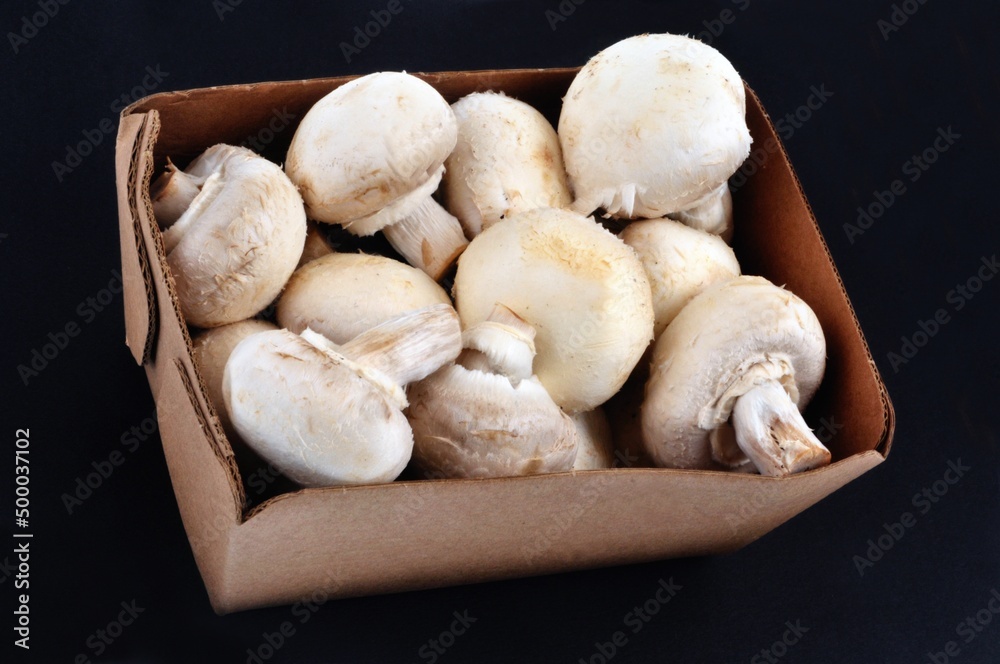 Barquette en carton de champignons de Paris en gros plan sur fond noir Barquette en carton de champignons de Paris en gros plan sur fond noir