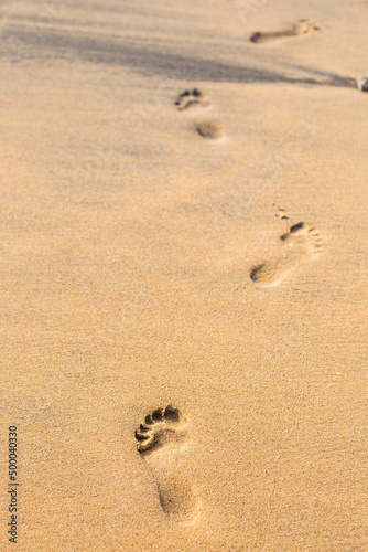 Foot print on brown sand beach, nature concept, vertical style