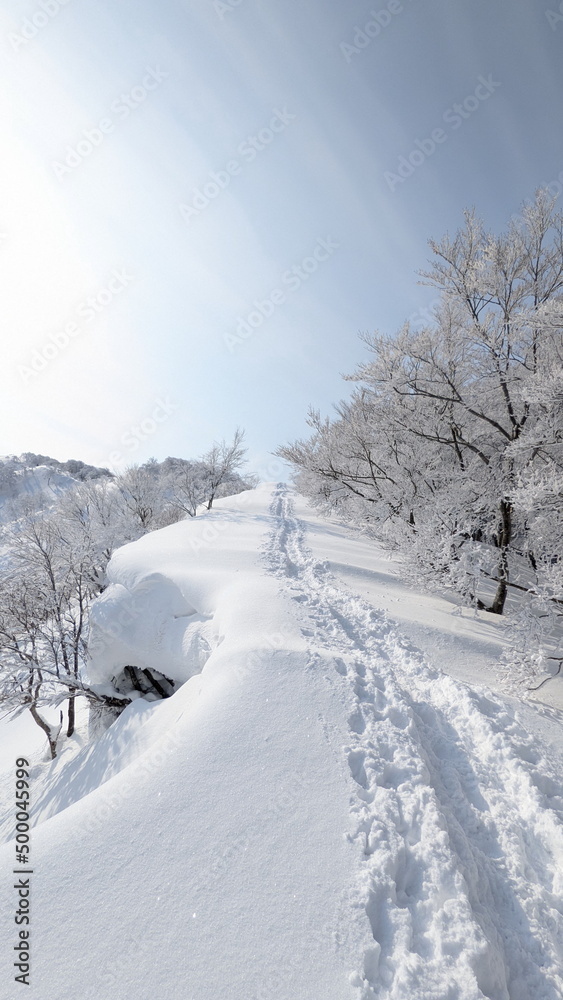 snow covered road snow covered road
