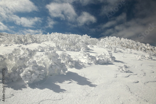 snow covered mountain