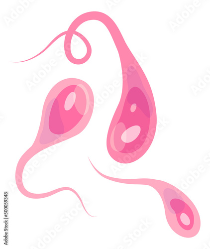 Pink human gamete cells. Cartoon moving microorganisms photo