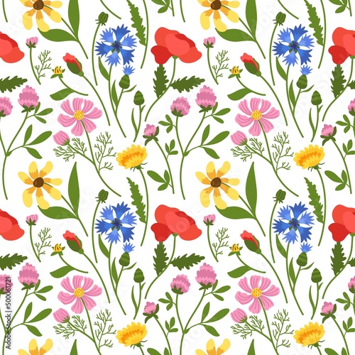 Wild flowers seamless pattern. Repeated meadow botany, beautiful floral texture, natural spring ornament, field plants isolated on white background. Decor textile, wrapping paper vector print