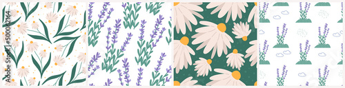 Botanical spring or summer seamless patterns set, flat vector illustration. Chamomile and lavender childish pattern, great for wrapping paper or kids clothes. Floral field or meadown.