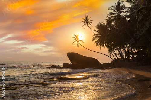 Dalawella beach in Sri Lanka photo