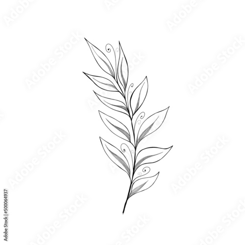 beautiful detailed sketch of plant. The idea of       a twig tattoo with leaves. detailed sketch of a twig with leaves