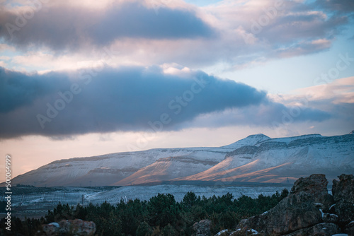 Beautiful view of trees under snowy mountains with  a cloudy gray sky in Matroosberg, South Africa photo