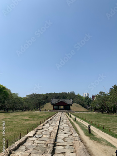 Wallpaper Mural 서울 삼성동 선정릉 공원, 선릉, 정릉, 봄, 자연, 꽃, 왕릉 / Seonjeongneung Park in Samseong-dong, Seoul, Seolneung, Jeongneung, Spring, Nature, Flower, Royal Tomb  Torontodigital.ca