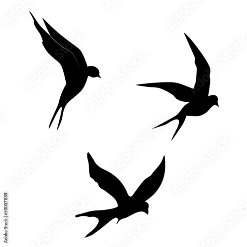 swallows. Black silhouette on a white background. Silhouette of a swarm of swallows. Black contours of flying birds. Flying swallows. Tattoo vector illustration isolated on white background.