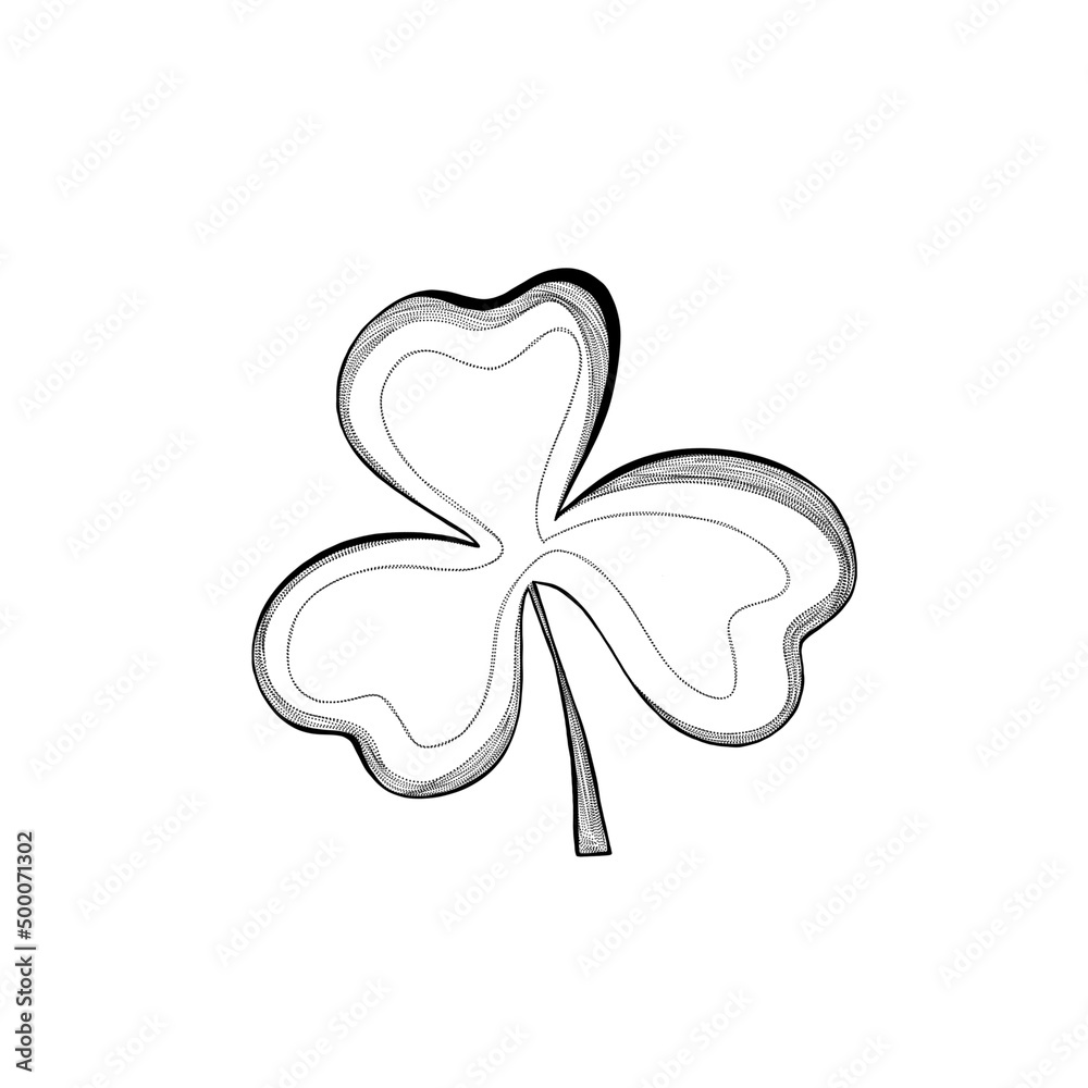 detailed sketch of a clover plant. botanical design template detailed sketch of a clover plant. botanical design template