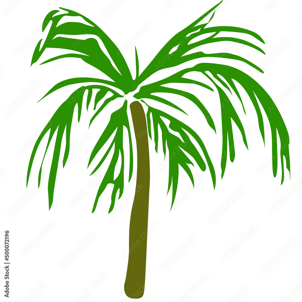 Tropical palm trees vector elements