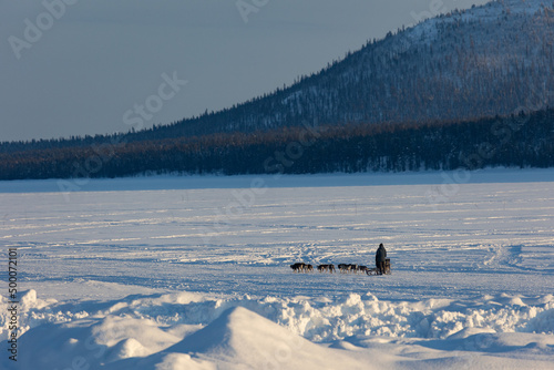 Sleddog expedition in the arctic Lapland winter with snow