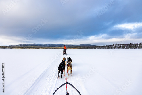 Sleddog expedition in the arctic Lapland winter with snow
