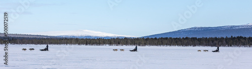 Sleddog expedition in the arctic Lapland winter with snow