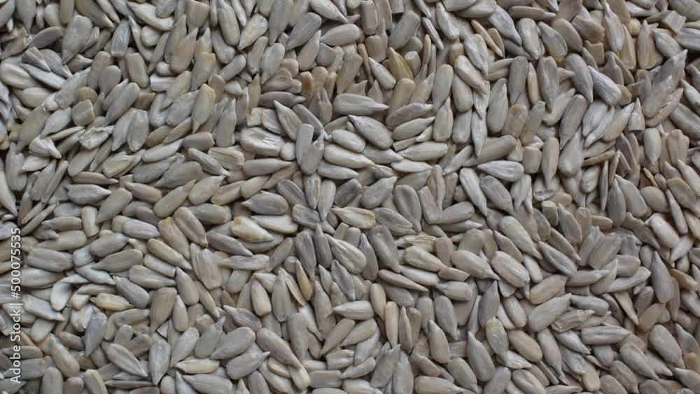 Raw whole dried hulled sunflower seeds Raw whole dried hulled sunflower seeds