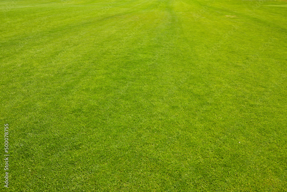 Green grass texture background Top view of bright grass garden Idea concept used for making green backdrop Green grass texture background Top view of bright grass garden Idea concept used for making green backdrop