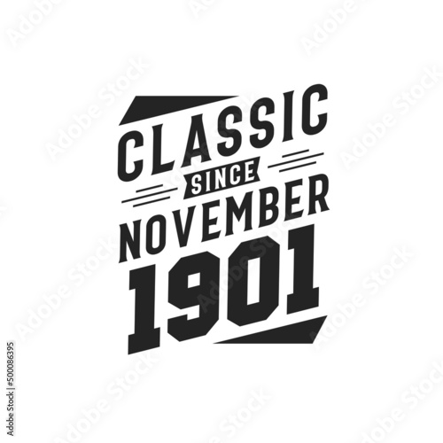 Born in November 1901 Retro Vintage Birthday, Classic Since November 1901