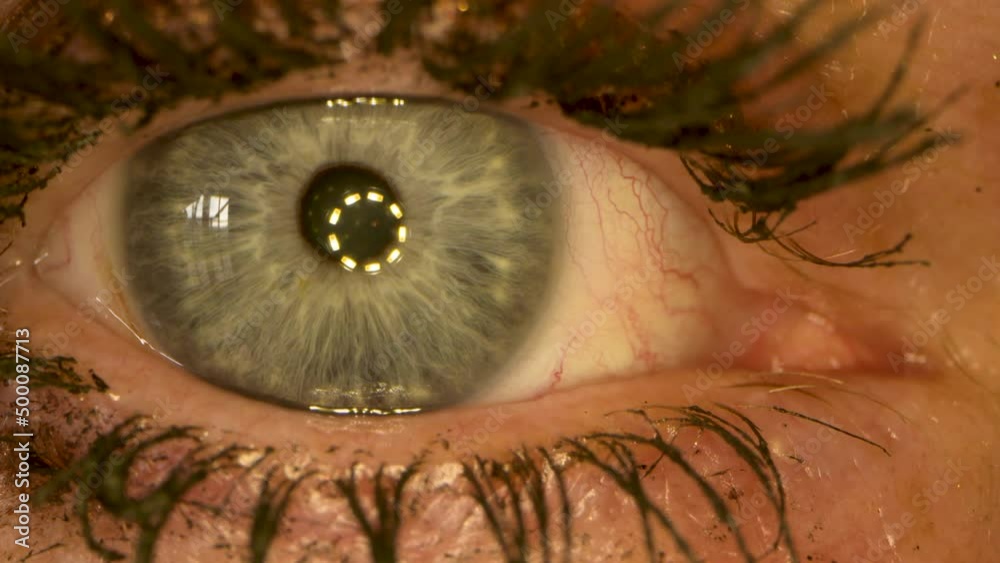 macro shot of human female eye with cosmetics