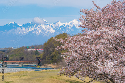 釜無川信玄堤からの八ヶ岳 photo