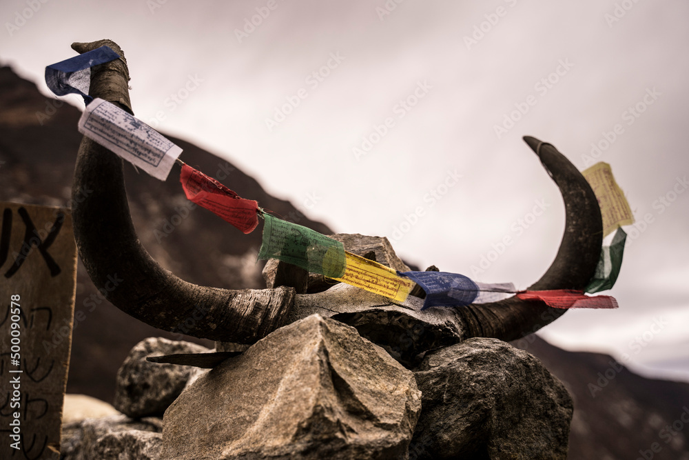 Cornes de yack et drapeaux tibétains bouddhistes posés sur un mur de pierre au Népal